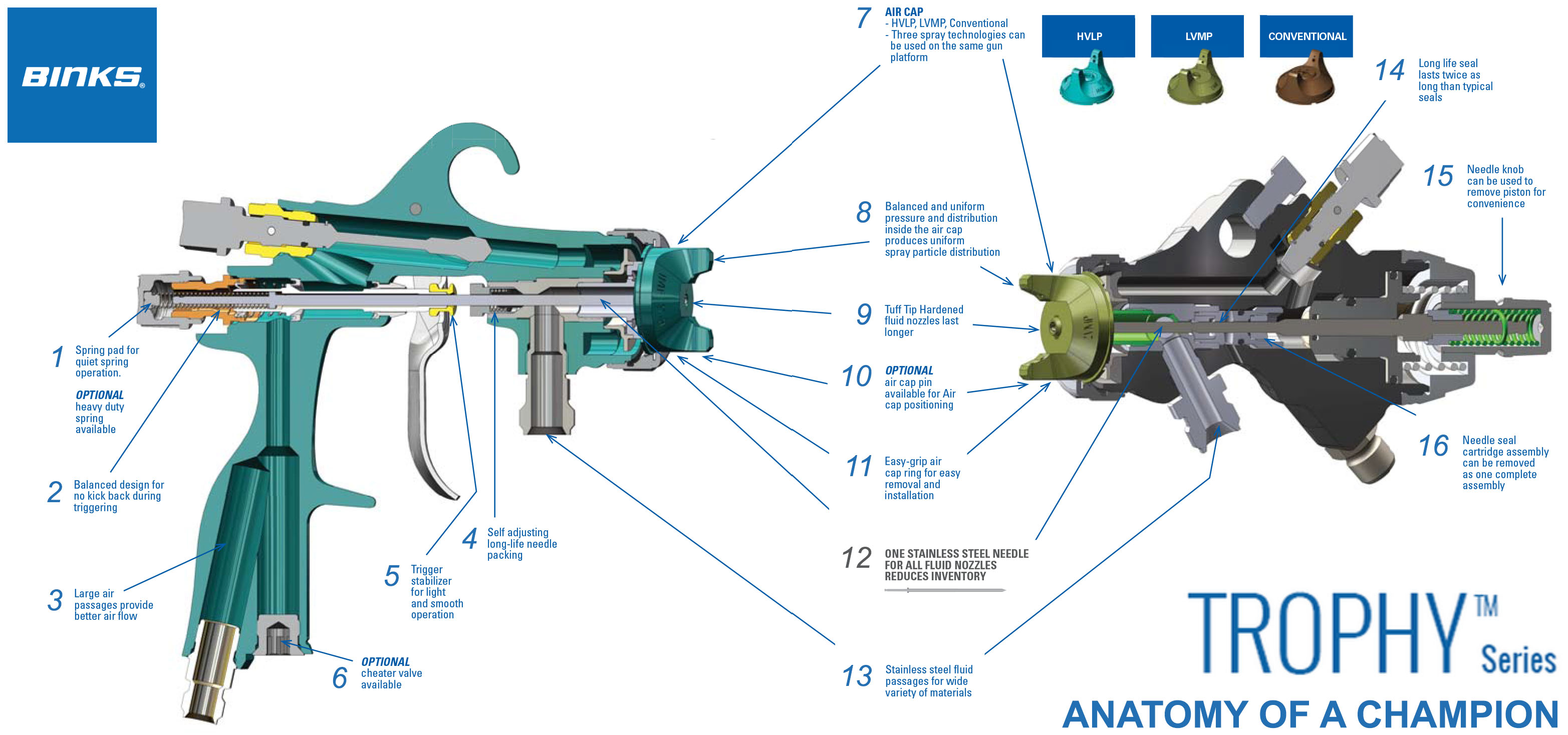 trophy-schemat-anatomia